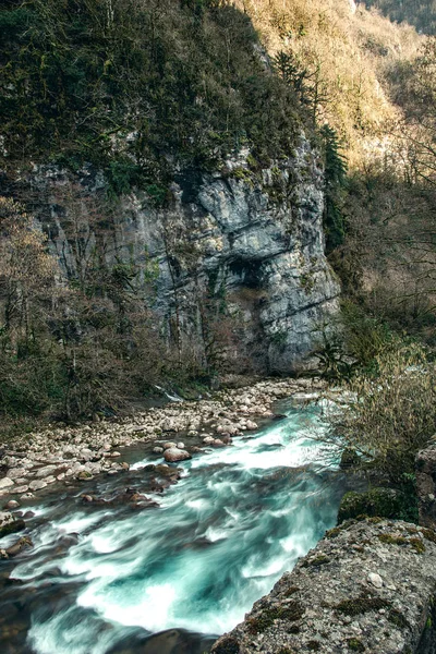 Bir dağ nehrinin uzun şelaleleri