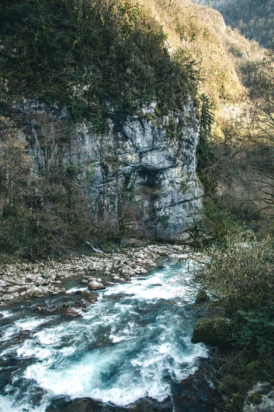 Bir dağ nehrinin uzun şelaleleri