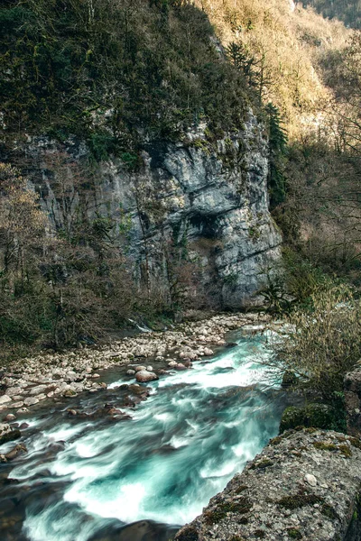 Bir dağ nehrinin uzun şelaleleri