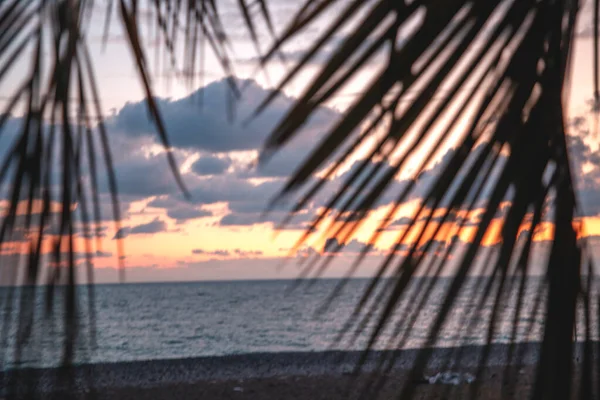 view of the tarry sunset on the black