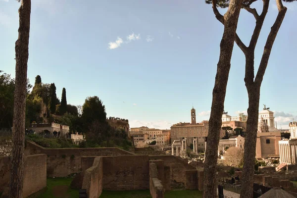 Forum Romanum och Palatine Hill — Stockfoto