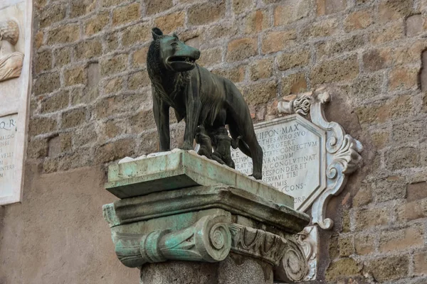 Symbol of Rome a she-wolf on Capitol Hill — Stock Photo, Image