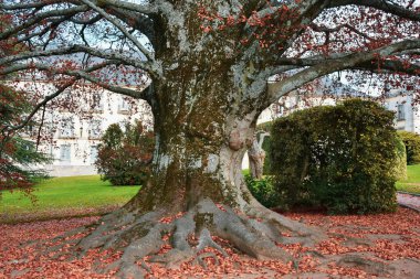 La Granja de San Ilde Kraliyet Bahçeleri