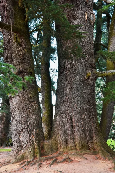 Os belos jardins do Sítio Real de La Granja de San Ilde — Fotografia de Stock