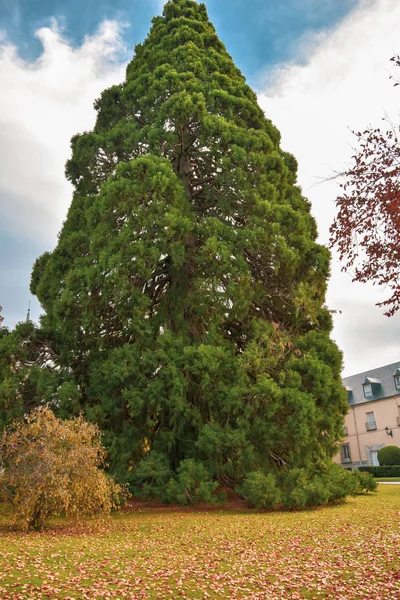 Die wunderschönen Gärten der königlichen Stätte la granja de san ilde — Stockfoto