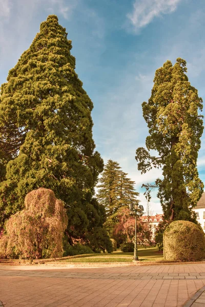 I bellissimi giardini del sito reale di La Granja de San Ilde — Foto Stock