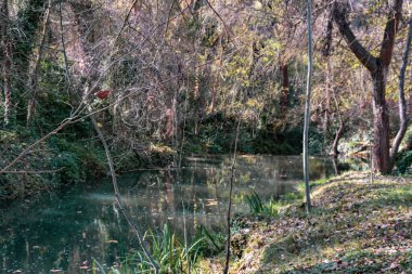 La Granja de San Ilde Kraliyet Bahçeleri