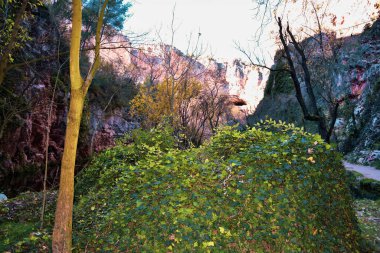 La Granja de San Ilde Kraliyet Bahçeleri