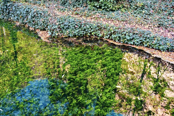 I bellissimi giardini stagni lacustri canali del sito reale di La — Foto Stock