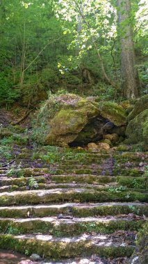 Georgia dağlarında büyülü şelaleler