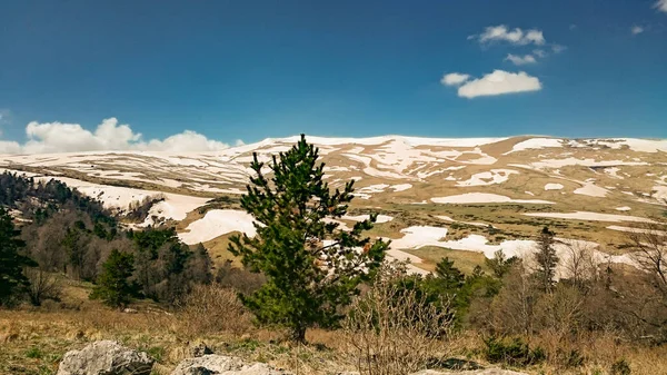 En lo alto de las montañas de Georgia, la nieve no se derrite ni siquiera en suma — Foto de Stock