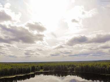 Fotoğraf Rusya 'nın Kostroma bölgesindeki Taiga' daki sihirli bir gölün dört ayaklısından.