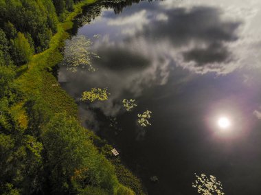Fotoğraf Rusya 'nın Kostroma bölgesindeki Taiga' daki sihirli bir gölün dört ayaklısından.