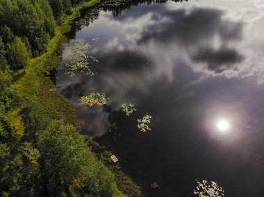 Fotoğraf Rusya 'nın Kostroma bölgesindeki Taiga' daki sihirli bir gölün dört ayaklısından.