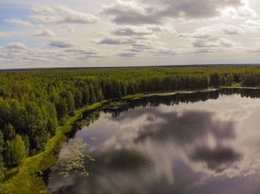 Fotoğraf Rusya 'nın Kostroma bölgesindeki Taiga' daki sihirli bir gölün dört ayaklısından.