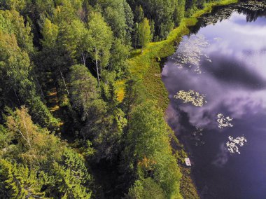 Fotoğraf Rusya 'nın Kostroma bölgesindeki Taiga' daki sihirli bir gölün dört ayaklısından.