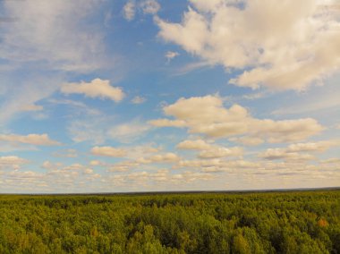 Fotoğraf Rusya 'nın Kostroma bölgesindeki Taiga' daki sihirli bir gölün dört ayaklısından.