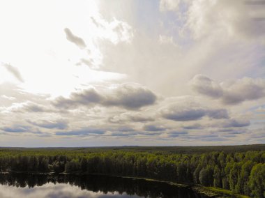 Fotoğraf Rusya 'nın Kostroma bölgesindeki Taiga' daki sihirli bir gölün dört ayaklısından.