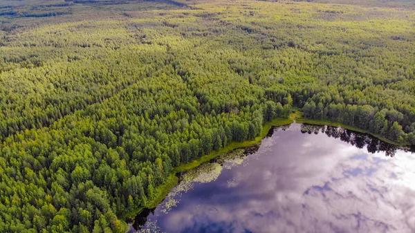 Foto Cuadrocoptero Lago Mágico Taiga Región Kostroma Rusia —  Fotos de Stock