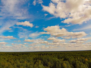 Fotoğraf, Rusya 'nın Kostroma bölgesindeki sihirli bir tayganın dörtlüsünden.