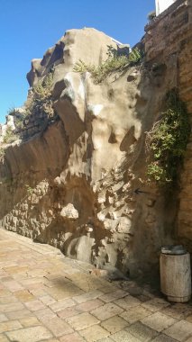 Gethsemane gardens at the foot of the Mount of Olives in Jerusalem