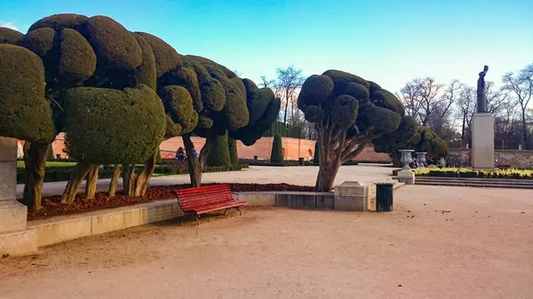 Vacker Park Med Tropiska Träd Och Fontän — Stockfoto