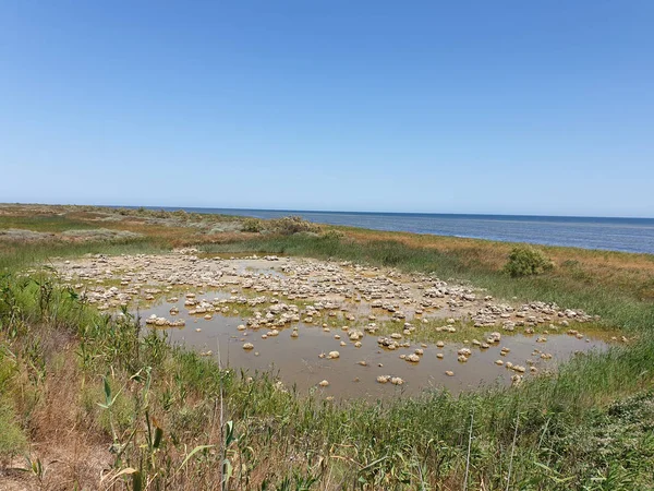 Absheron Nemzeti Park Létre Hogy Megőrizze Gazellák Kaszpi Szigeteki Fókák — Stock Fotó