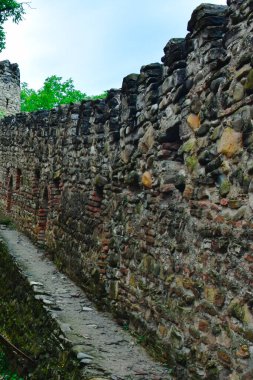 Georgia 'daki eski Ananuri kalesi. Ortodoks manastırı ve güzel Zhinvali deposu.