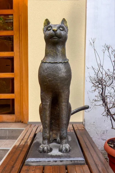 Tiflis Georgia Agosto 2018 Estatua Gato Sentado — Foto de Stock