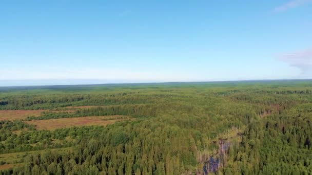 夏天空中无人驾驶飞机对森林和河谷的射击 — 图库视频影像