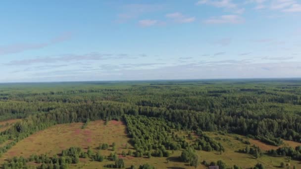 一架无人驾驶飞机向一个废弃村庄附近美丽的森林射击 — 图库视频影像