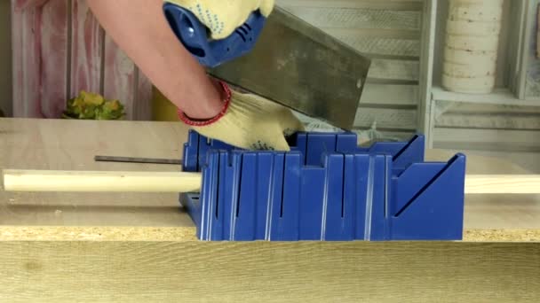 鋸とミットルボックスを使用して切断ミッターカット — ストック動画