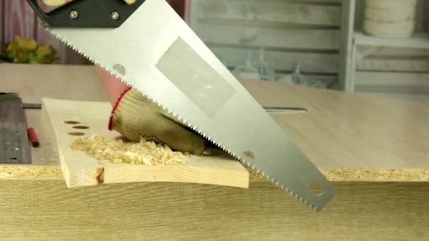 Carpinteiro Serrar Prancha Madeira Com Serra Manual Handwork Melhoria — Vídeo de Stock