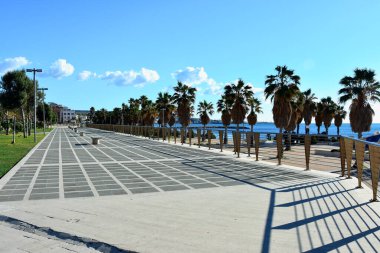 Plajda palmiye ağaçları ve İtalya Civitavecchia 'da mavi gökyüzü.