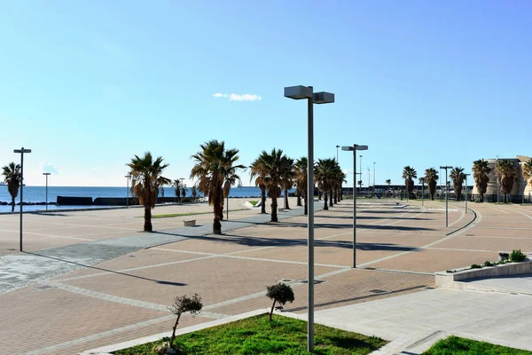 Plajda Palmiye Ağaçları Talya Civitavecchia Mavi Gökyüzü — Stok fotoğraf