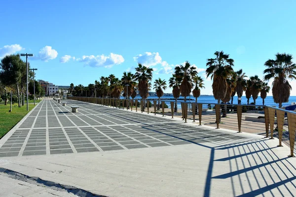 Plajda palmiye ağaçları ve İtalya Civitavecchia 'da mavi gökyüzü.