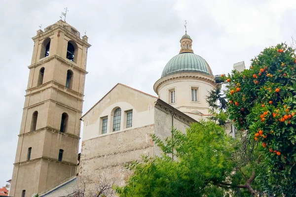 Domglockenturm Und Mandarinenbaum Historischen Zentrum Von Savona Ligurien Italien — Stockfoto