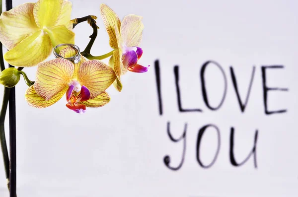 A inscrição "Eu te amo " — Fotografia de Stock