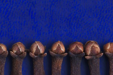 Karanfilin makro fotoğrafçılığı (Syzygium aromaticum) mavi arkaplanda gösterilir