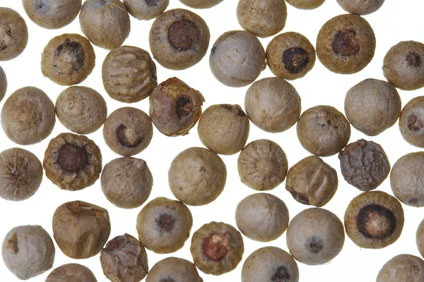 Beyaz arka planda beyaz Penja biberi (Piper Nigrum). Bu, PGI - Korunan Coğrafi Gösterge statüsüne sahip ilk Afrika ürünüdür..