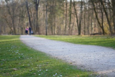 Altın saatinde, ormanda, patikada yürüyen genç bir çiftin olduğu huzurlu bir arazide bir patika. Yaşam, birliktelik ve sevgi, doğa ve açık hava, gelecek, huzur ve güvenlik kavramı