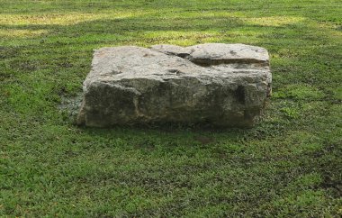 Büyük bir taş üzerinde çim