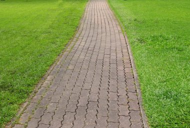 Parktaki yeşil çimenli taş blok patikası.