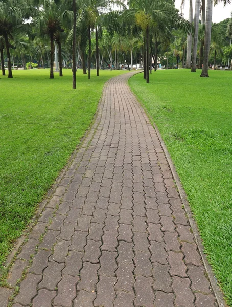 El camino a pie bloque de piedra en el parque con fondo de hierba verde — Foto de Stock