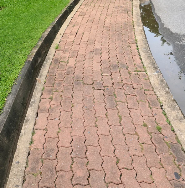 Concrete block footpath in the park — Stock Photo, Image