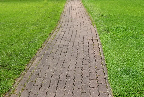 Каменная дорожка для прогулок в парке на фоне зеленой травы — стоковое фото