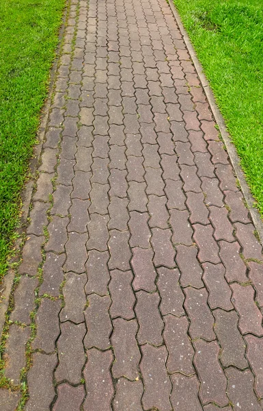 The Stone block walk path in the park with green grass background — Stock Photo, Image