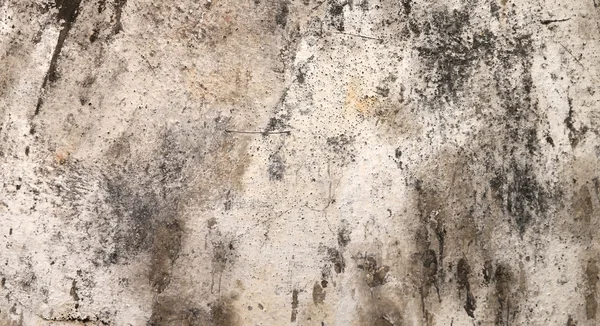 Cracks on the walls moldy — Stock Photo, Image
