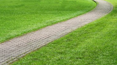 yeşil park taş yol