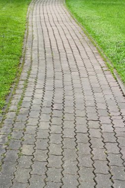 yeşil park taş yol